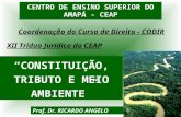 CENTRO DE ENSINO SUPERIOR DO AMAPÁ - CEAP
