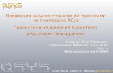 Профессиональное управление проектами на платформе  ASys Подсистема управления проектами