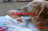Hermano perro (Romance del perro que salvó la vida a un niño  en las islas del delta del Paraná)