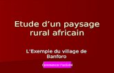 Etude d’un paysage rural africain