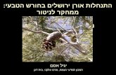 התנחלות אורן ירושלים בחורש הטבעי: ממחקר לניטור או מודל לניהול מבוסס מדע   בשטחים פתוחים