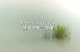 Morning Haze 清晨朦朧的薄霧