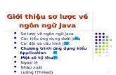 Giới thiệu sơ lược về ngôn ngữ Java