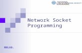 Network Socket Programming