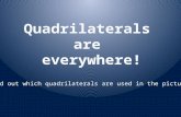Quadrilaterals  are  everywhere!