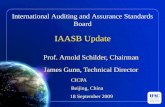 IAASB Update