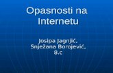 Opasnosti na  Internetu Josipa Jagnjić, Snježana Borojević, 8.c