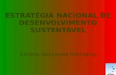 ESTRATÉGIA NACIONAL DE DESENVOLVIMENTO SUSTENTÁVEL