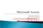 Microsoft  Access