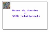 Bases de données  et  SGBD relationnels