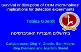Survival or disruption of CDM micro-haloes: implications for detection experiments