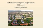 Tatabánya Megyei Jogú Város  2014. évi  költségvetése