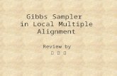 Gibbs Sampler  in Local Multiple Alignment