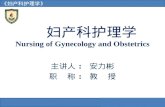 妇产科护理学 Nursing of Gynecology and Obstetrics