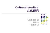 Cultural studies  文化研究