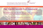 Verpleegkundigen & Verzorgenden Nederland