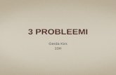 3 PROBLEEMI