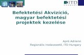 Befektetési Akvizíció, magyar befektetési projektek kezelése