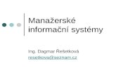 Manažerské informační systémy