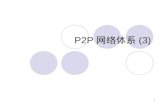 P2P 网络体系 (3)