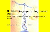 IL DNA fingerprinting umano oggi Prof.ssa Claudia Donnini, Università di Parma
