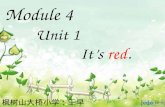 Unit 1            It’s  red .