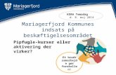 Mariagerfjord Kommunes indsats på beskæftigelsesområdet