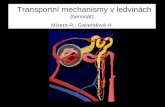 Transportní mechanismy v ledvinách  (seminář) Mizera R., Gavendová H.