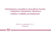 Valstybinio socialinio draudimo fondo valdybos Klaipėdos skyriaus  veiklos rodiklių pristatymas