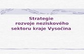 Strategie  rozvoje neziskového sektoru kraje Vysočina