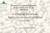 A magyar pelletpiac fejlesztésének stratégiája