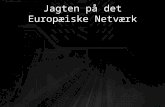 Jagten på det Europæiske Netværk