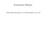 Examen Blanc