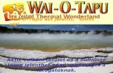 Wai-O-Tapu azt jelenti, "szent víz"