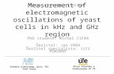 Measurement of electromagnetic oscillations of yeast cells in kHz and GHz region