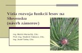 Vízia rozvoja funkcií lesov na Slovensku  (návrh zámerov)