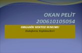 OKAN PELİT 200610105054