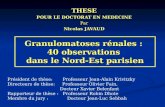 Granulomatoses rénales :  40 observations  dans le Nord-Est parisien