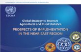 PROSPECTS OF IMPLEMENTATION IN THE NEAR EAST REGION