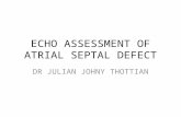 ECHO ASSESSMENT OF ATRIAL SEPTAL DEFECT