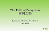 The Path of Evergreen 青树之路