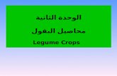 الوحدة الثانية محاصيل البقول Legume Crops
