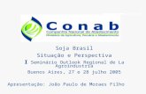 Soja Brasil Situação e Perspectiva I  Seminário Outlook Regional de La Agroindustria