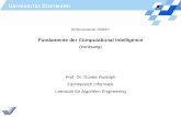 Fundamente der Computational Intelligence (Vorlesung)