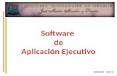 Software de Aplicación Ejecutivo