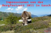 Impressionen von der  DVG-Bergfreizeit 2011 in Gaschurn