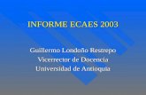 INFORME ECAES 2003