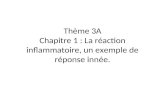 Thème 3A Chapitre 1 : La réaction inflammatoire, un exemple de réponse innée.