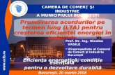 Promovarea acordurilor pe termen lung (LTA) pentru creşterea eficienţei energiei în industrie
