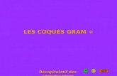 LES COQUES GRAM +